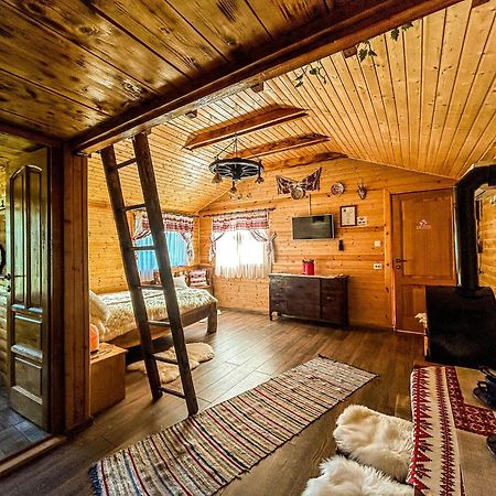 Chalets Du Bf Sighişoara Exteriör bild