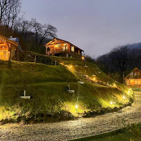 Chalets Du Bf Sighişoara Exteriör bild