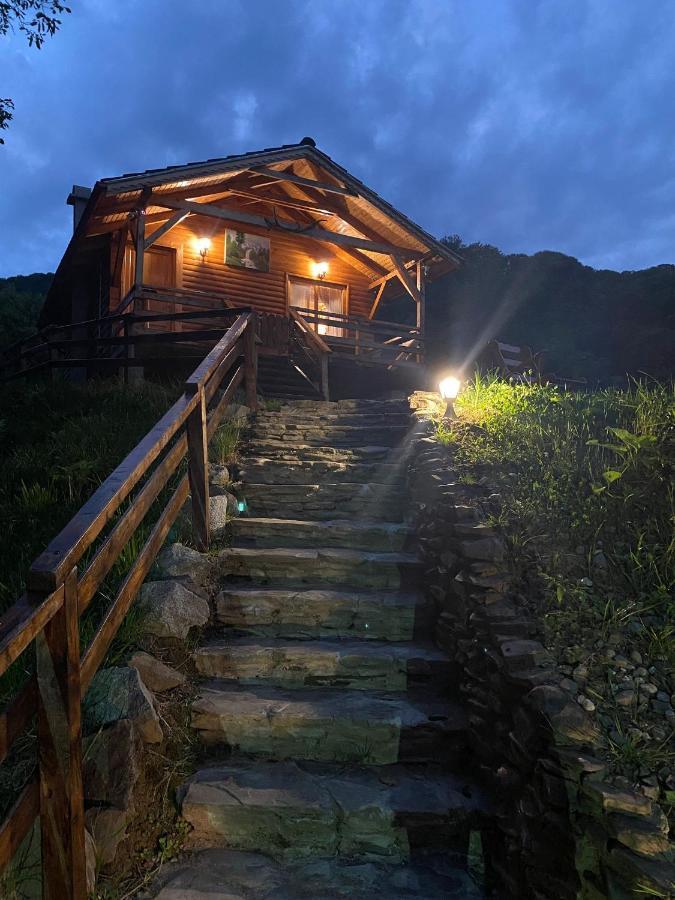 Chalets Du Bf Sighişoara Exteriör bild