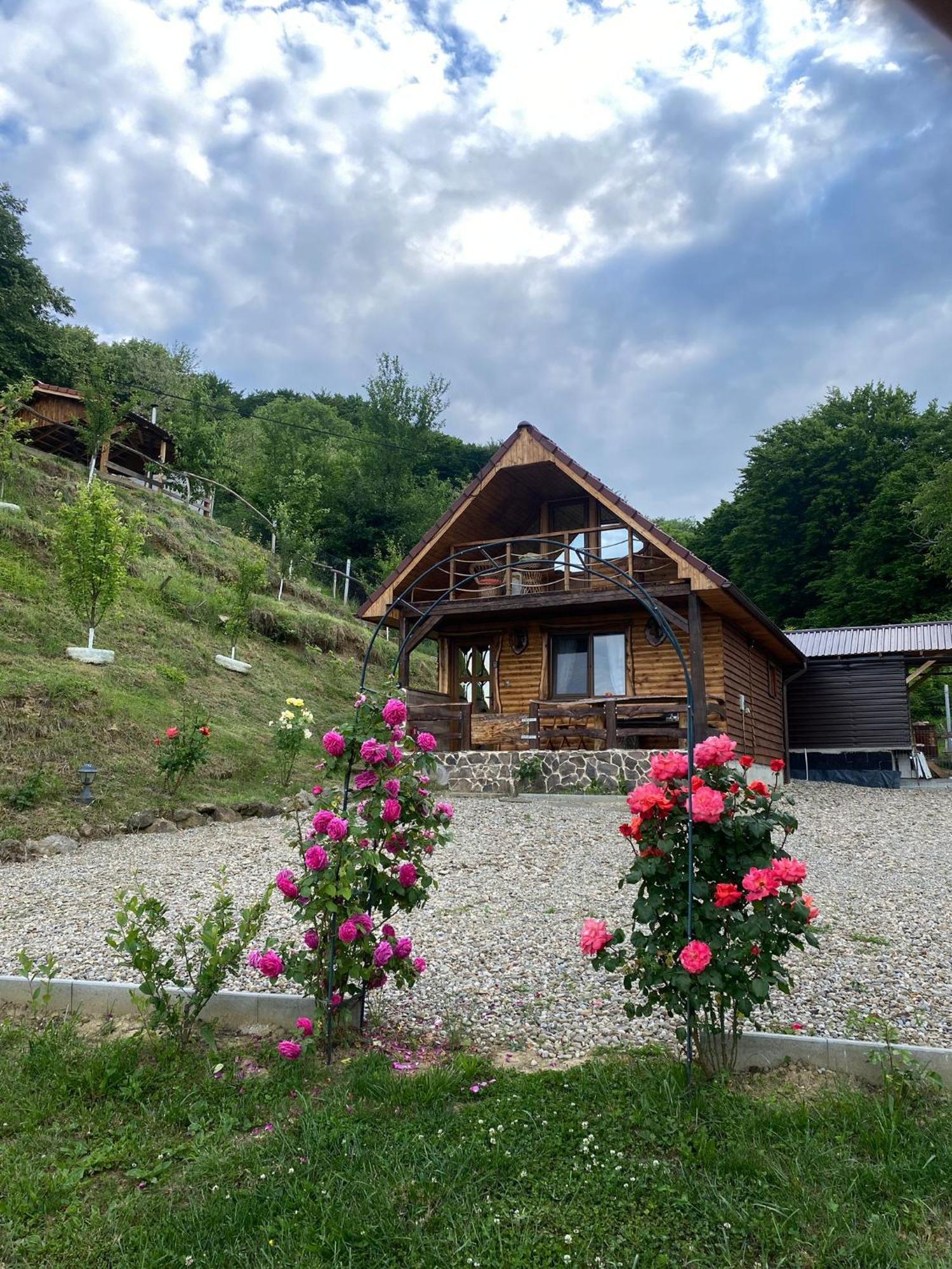 Chalets Du Bf Sighişoara Exteriör bild